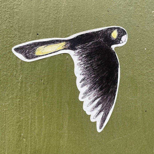 Bridget Farmer Yellow-tailed Black Cockatoo Sticker 2