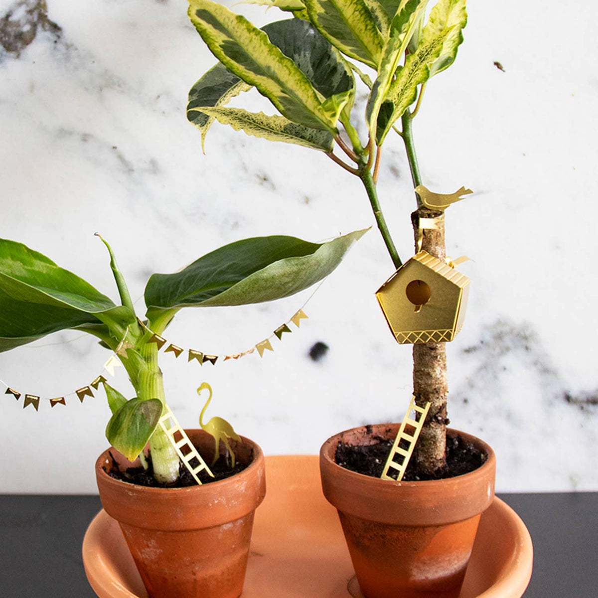 Tiny Birdhouse For Your Plants