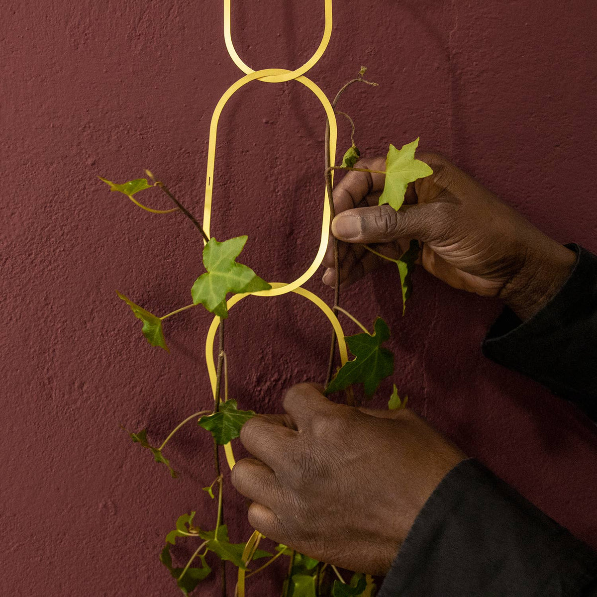Gold Brass Chain - Plant Support For Climbing Plants