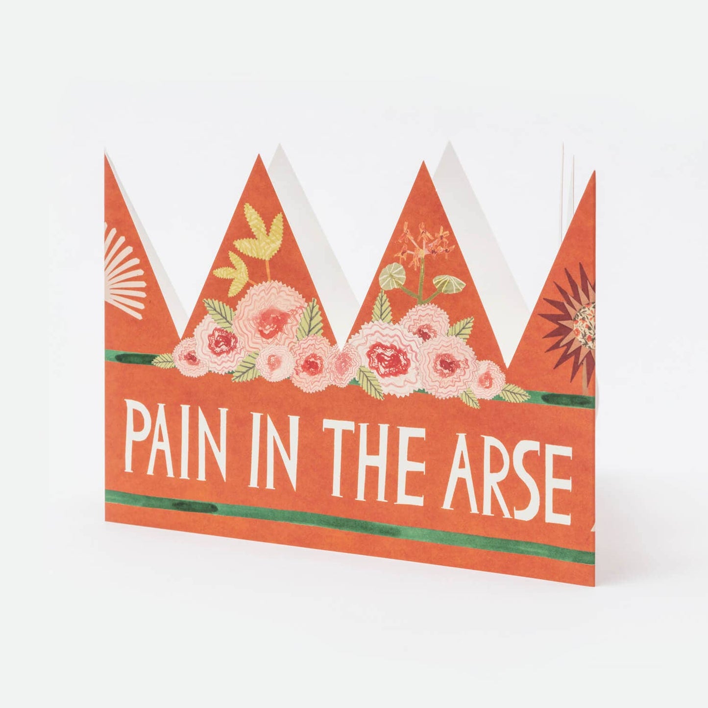 Pain In The Arse Party Hat