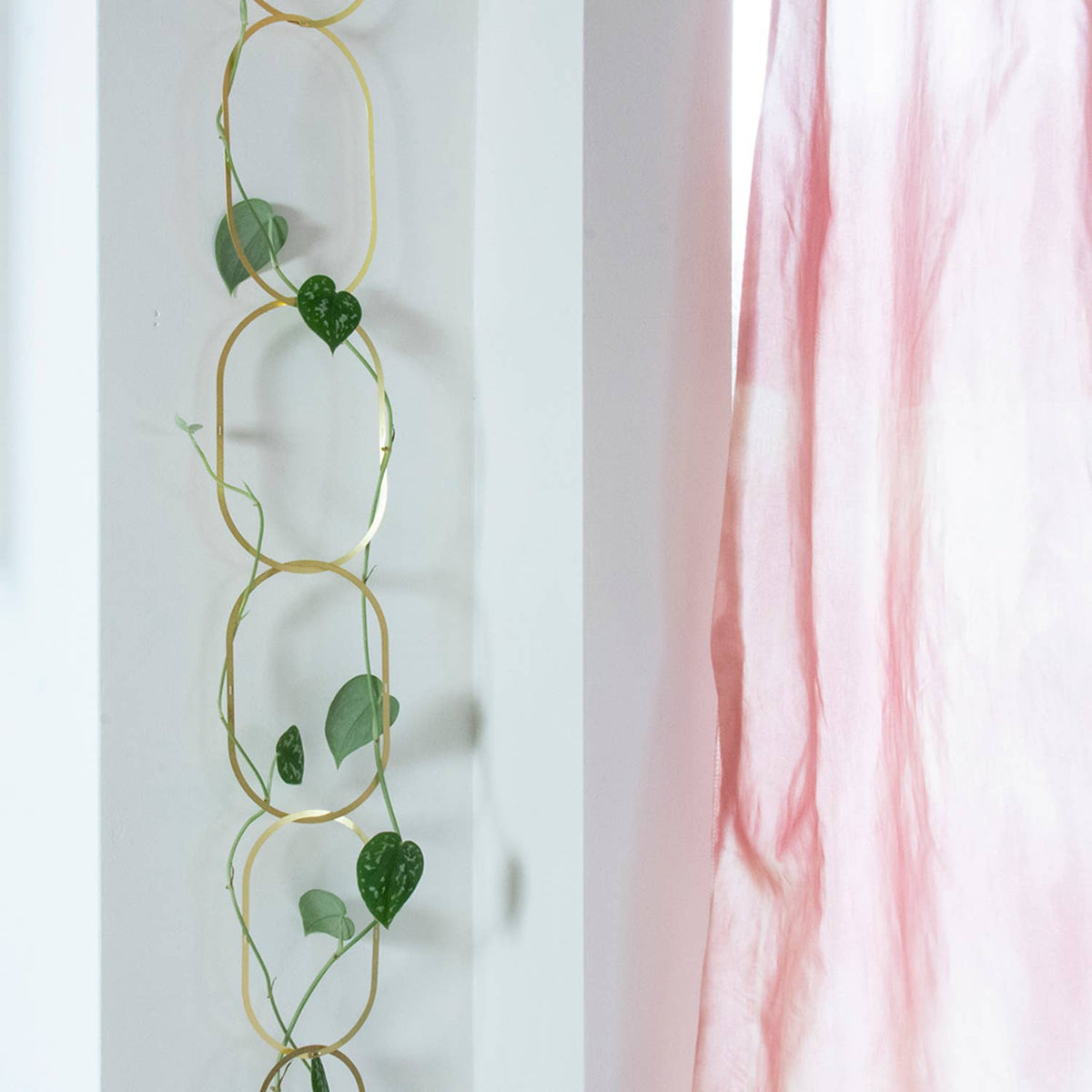 Gold Brass Chain - Plant Support For Climbing Plants