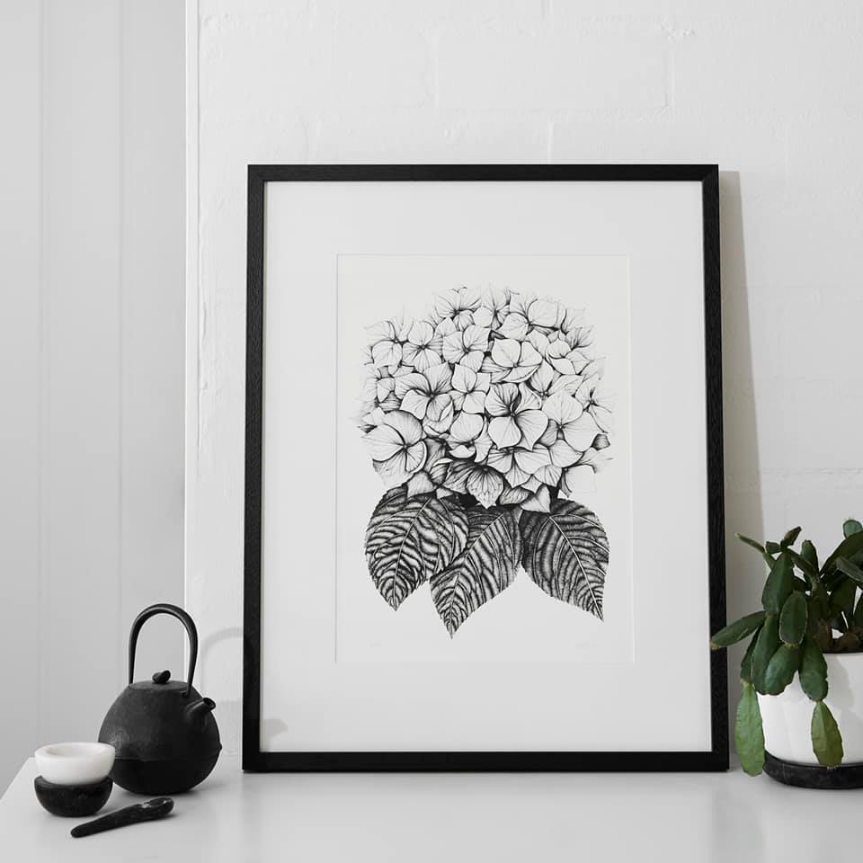 Paula Zetlein Botanical Limited Edition Art Print A4 - Hydrangea