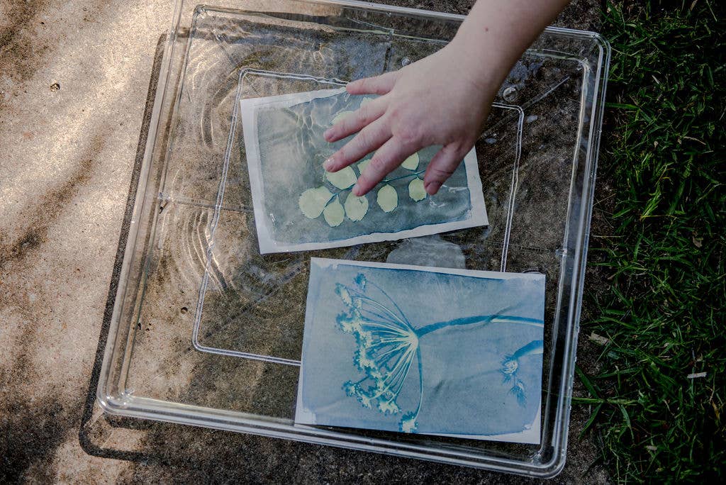 Cyanotype Printing Kit