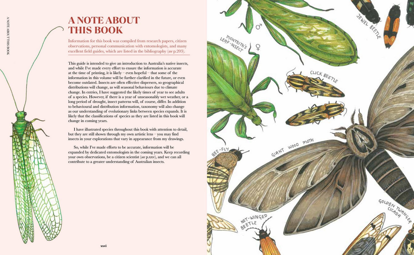100 Australian Butterflies, Bees, Beetles & Bugs