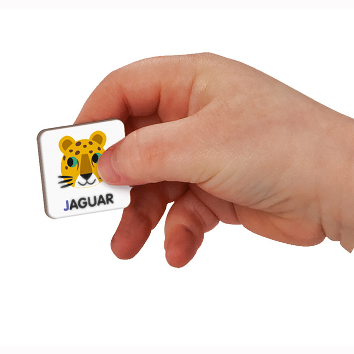 Alphabet Magnetic Book