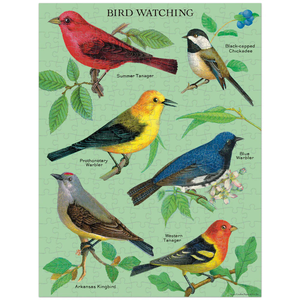 Cavallini & Co 'Bird Watching' 240 Piece Mini Vintage Puzzle