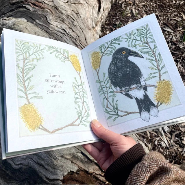 Bridget Farmer I am a Magpie I am a Currawong - A childs first bird book