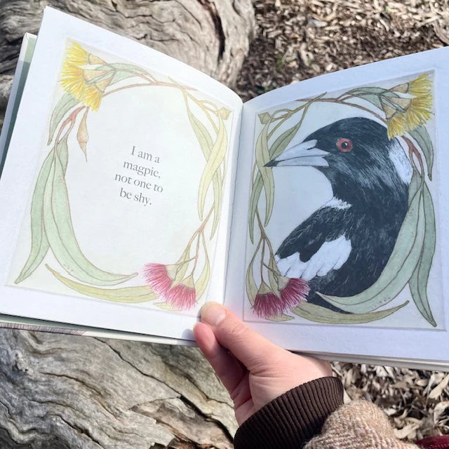 Bridget Farmer I am a Magpie I am a Currawong - A childs first bird book