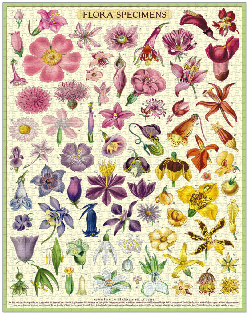 Cavallini & Co 'Flora Specimens' 1000 Piece Puzzle