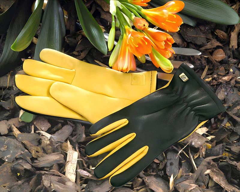 Gold Leaf Dry Touch Glove