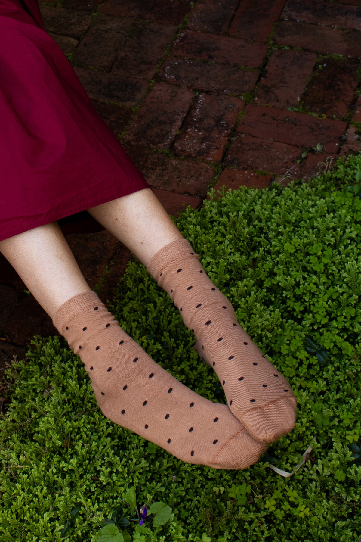 Tightology Spotty Cotton Socks - Copper