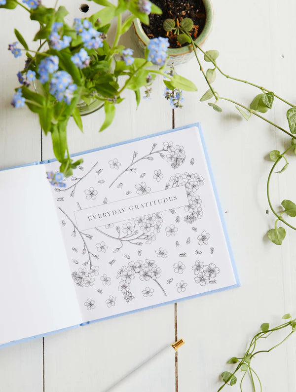Write To Me - Everyday Gratitudes