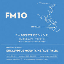 Eucalyptus Mountains/ Australia Incense - Nippon Kodo Fragrance Memories Incense