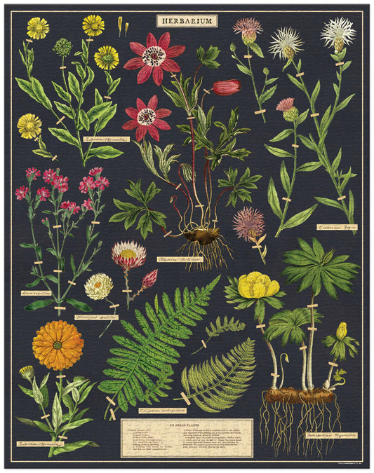 Cavallini & Co Herbarium 1000 piece Puzzle