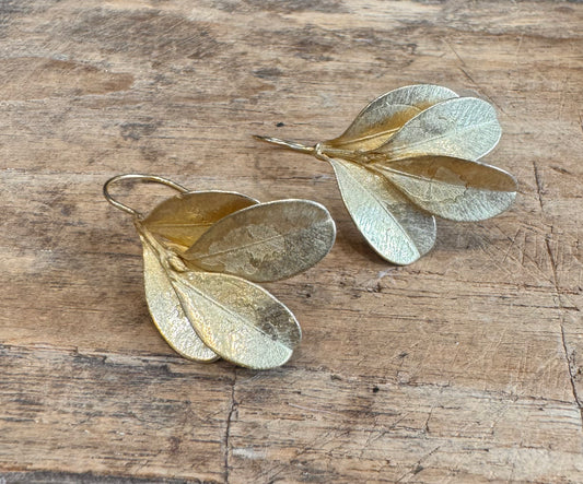 Anja Jagsch Gold Earrings - Box Bush
