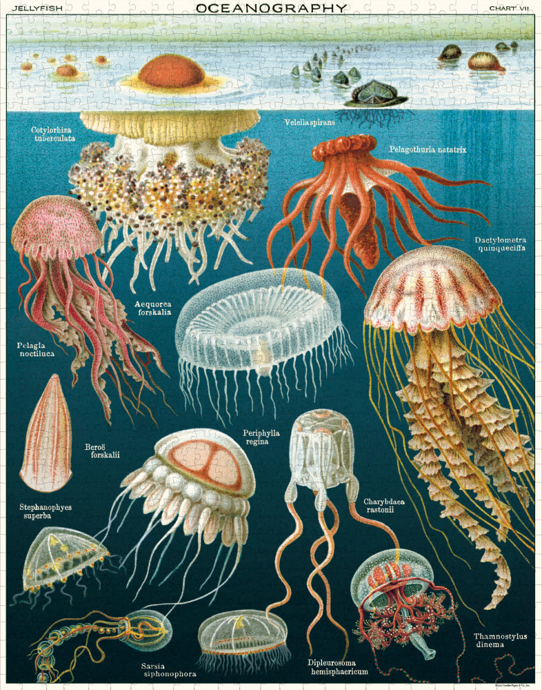 Cavallini & Co Jellyfish 1000 Piece Vintage Puzzle