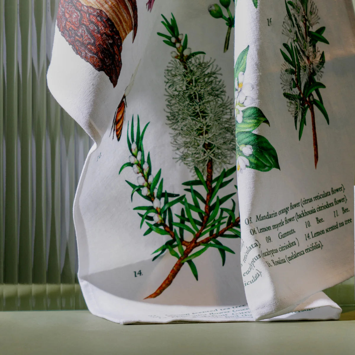 Koala Eco Terra Botanica Tea Towel