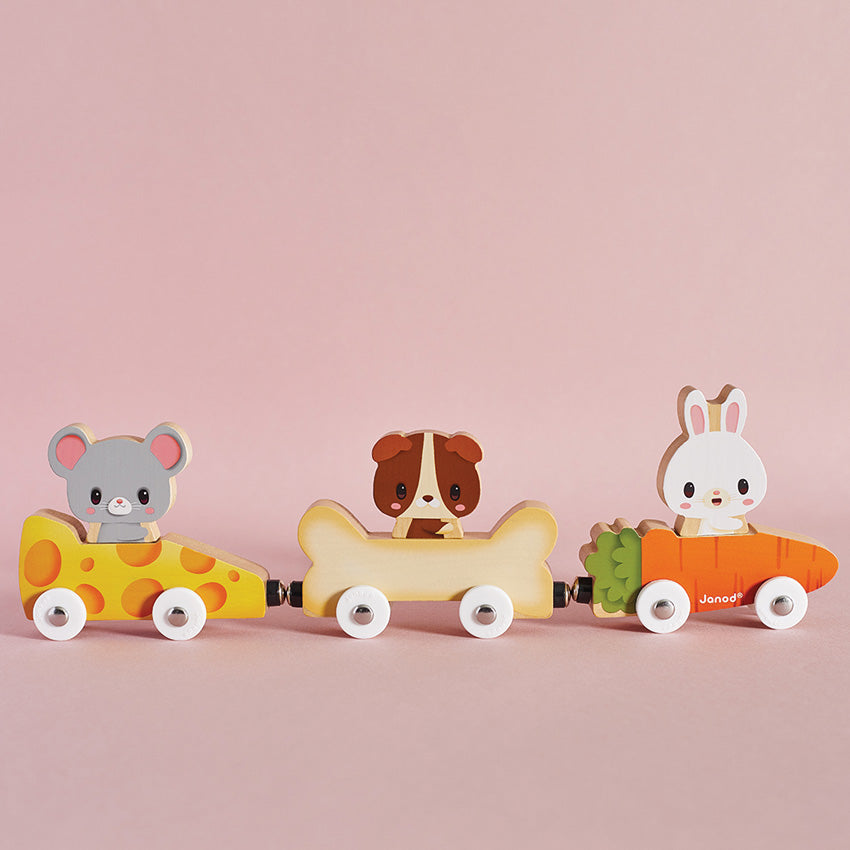 Janod Magnetic Pet Cars