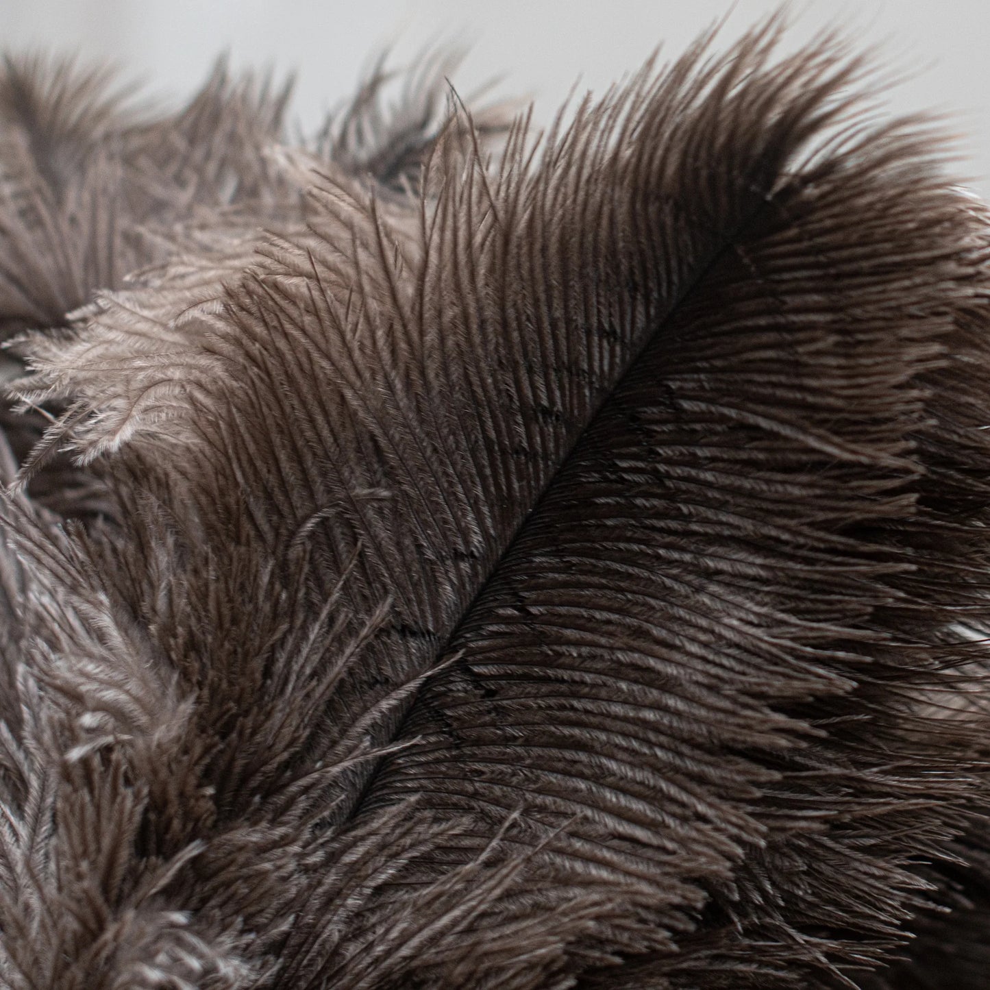 Heaven In Earth Natural Feather Duster - 350 mm