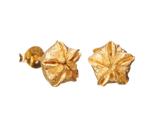 Shabana Jacobson Organic Star Studs - Gold