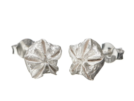 Shabana Jacobson Organic Star Studs - Silver