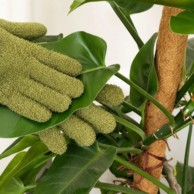 Microfibre Plant Cleaning Gloves