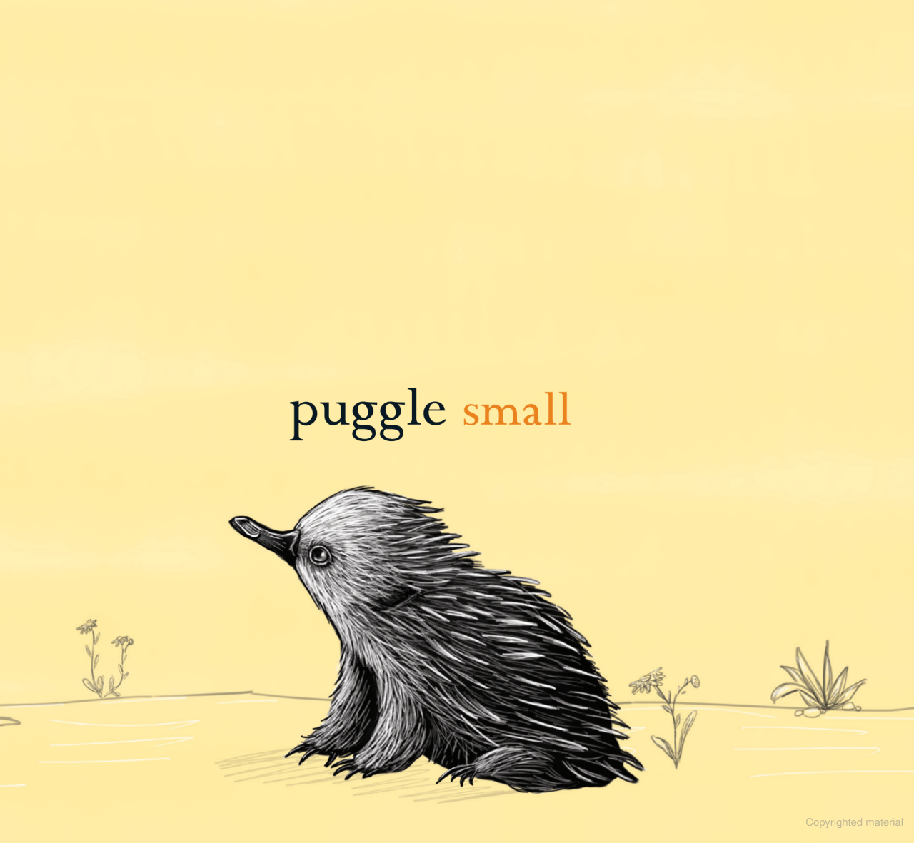 Children's Book - Wombat Big, Puggle Small