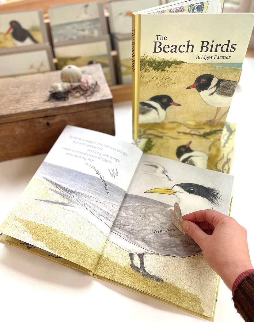 Bridget Farmer The Beach Birds Book