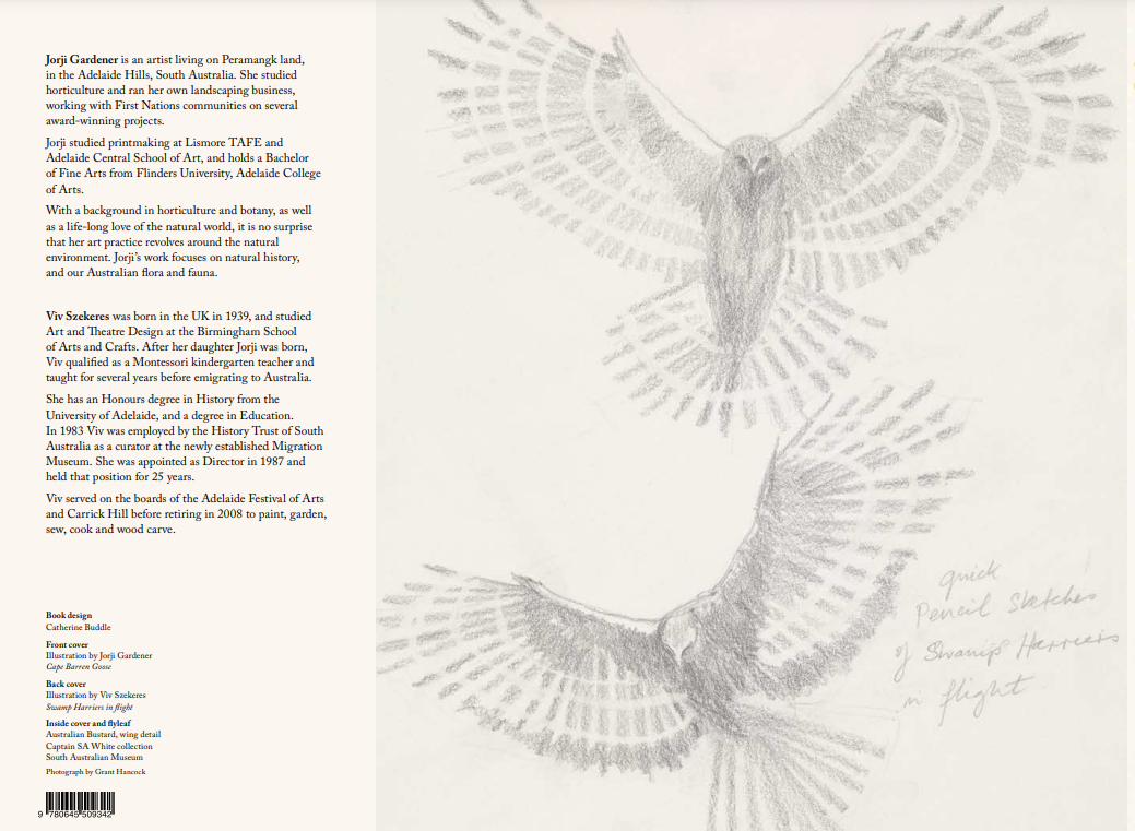 Flight - An illustrated notebook of bird life and loss