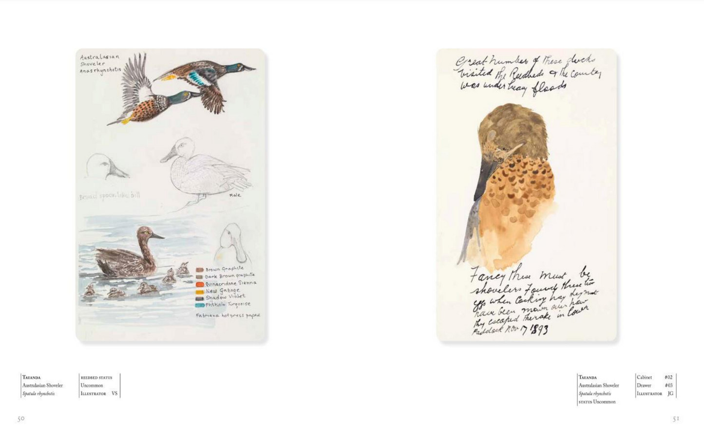 Flight - An illustrated notebook of bird life and loss