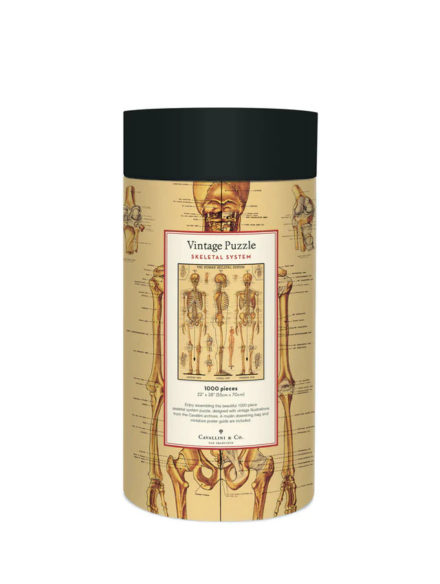 Cavallini & Co 'Skeletal System' 1000 Piece Puzzle