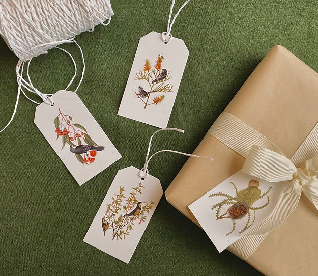 The Biophilia Project Christmas Tag Pack - Plants and their Pollinators