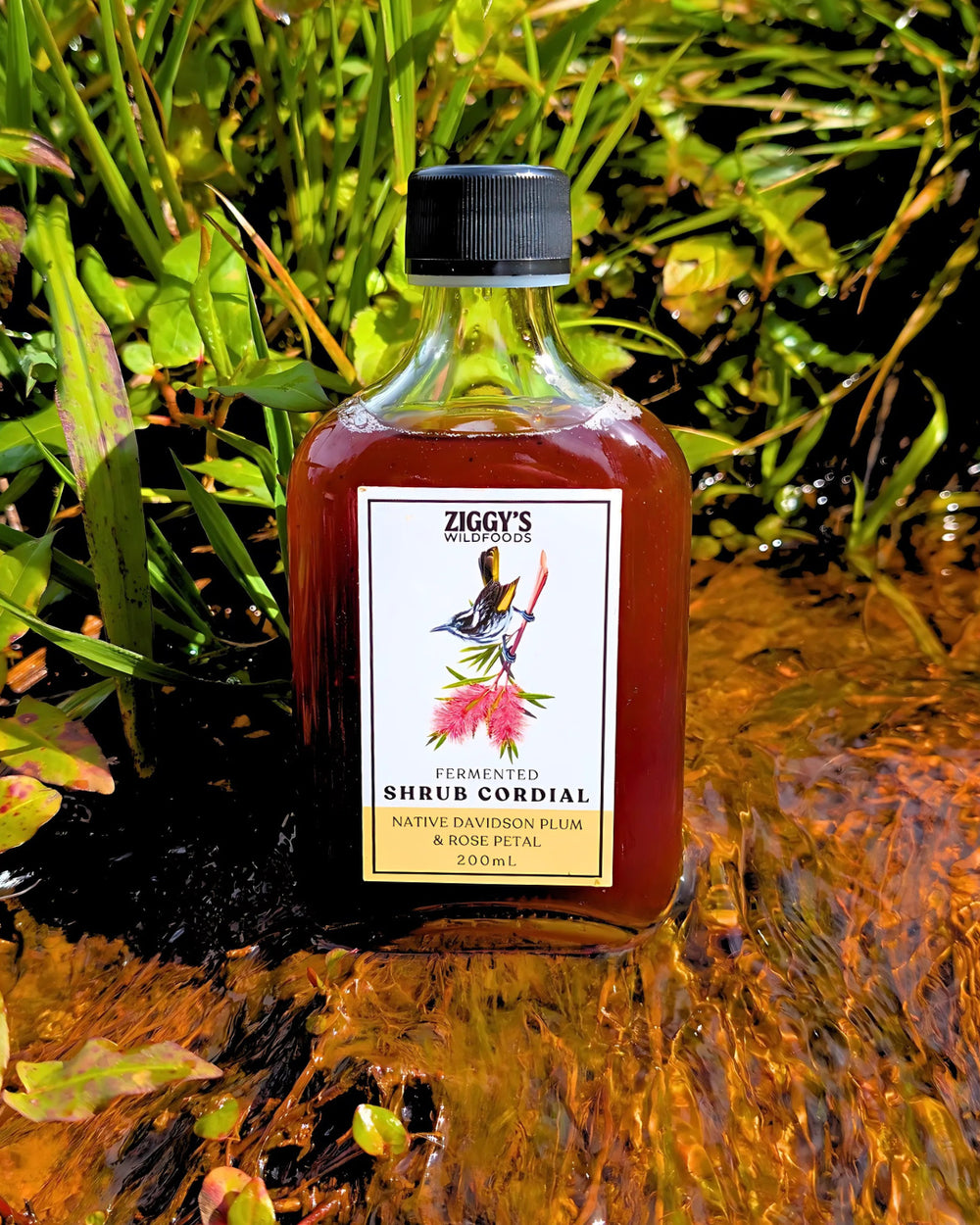 Wild Davidson Plum and Rose Petal Cocktail Shrub 200ml