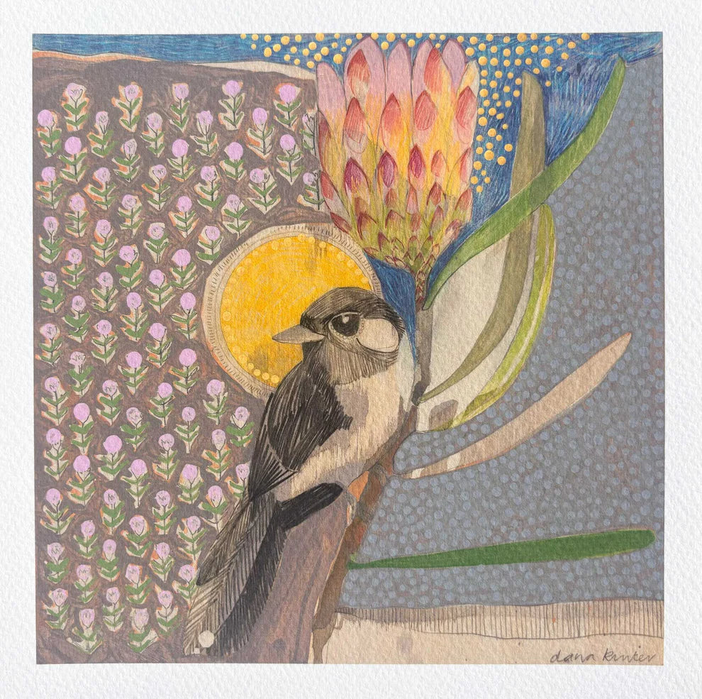 Dana Kinter "Willie Wagtail and Protea" Mini Print