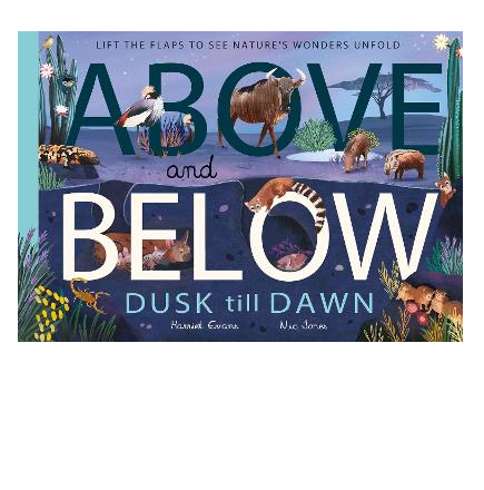 Children's Book - Above and Below: Dusk till Dawn by Harriet Evans and Nic jones