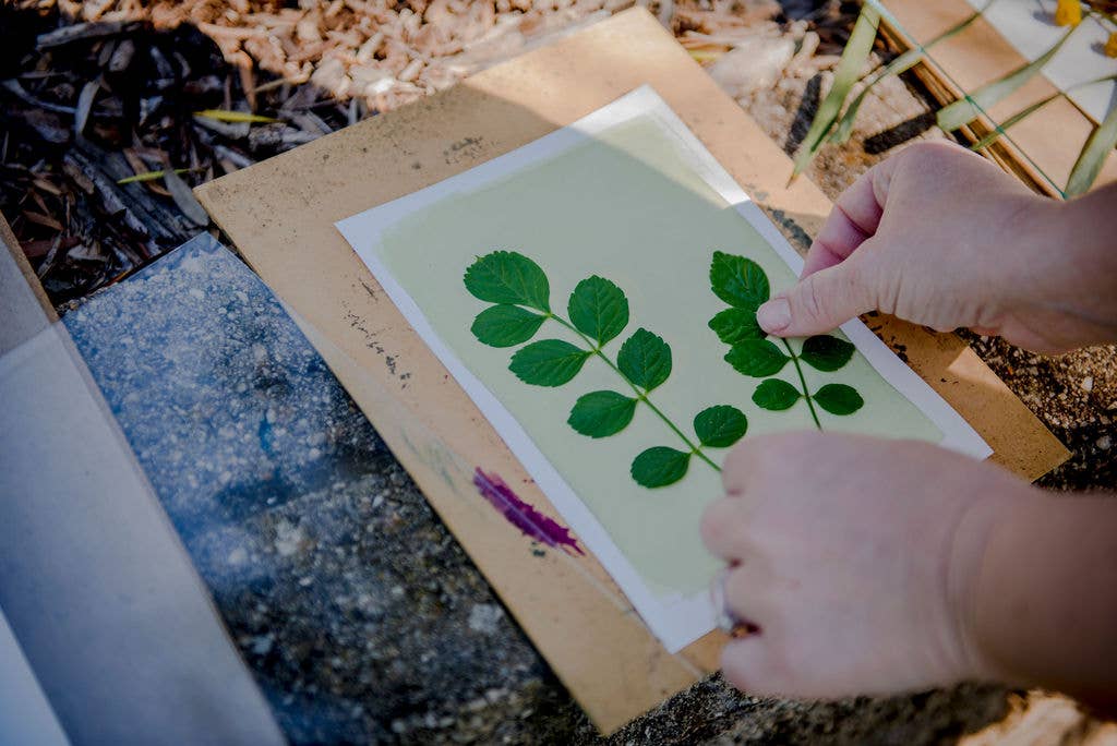 Cyanotype Printing Kit