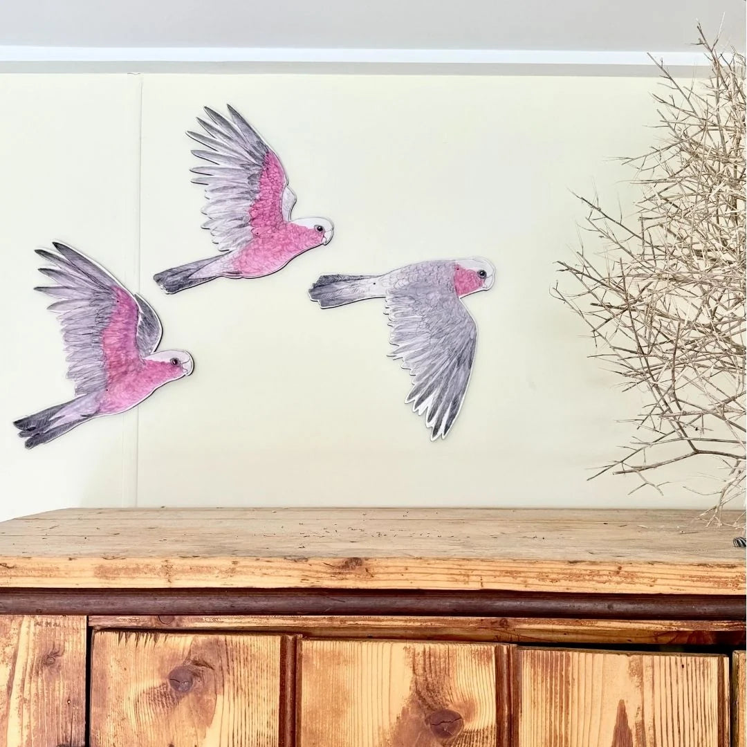 Bridget Farmer Australian Avery Wall Decorations - Galah