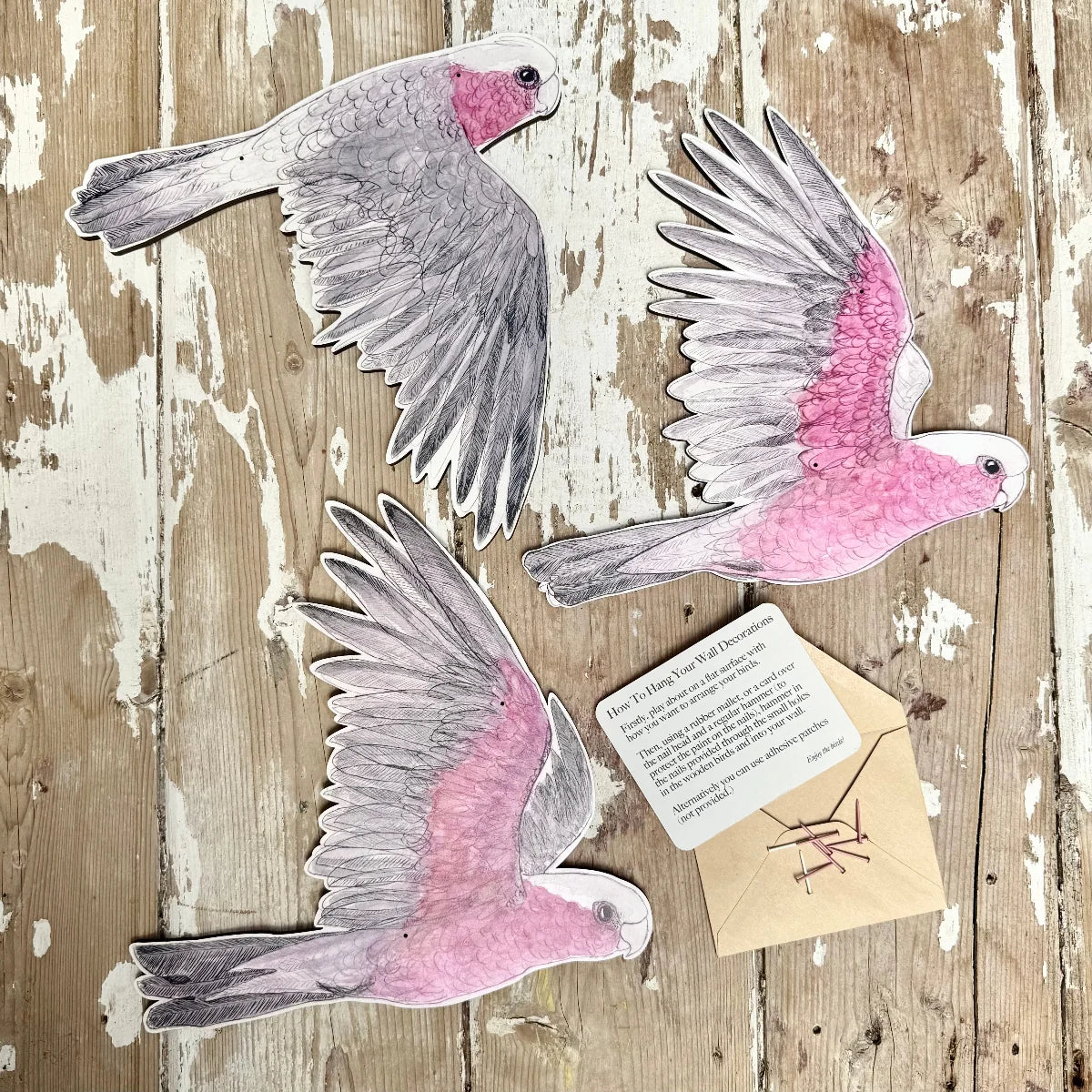 Bridget Farmer Australian Avery Wall Decorations - Galah