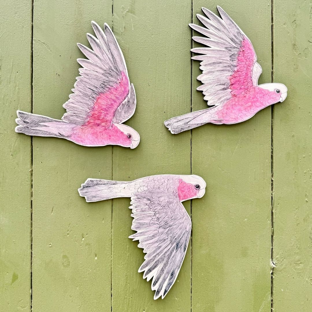 Bridget Farmer Australian Avery Wall Decorations - Galah