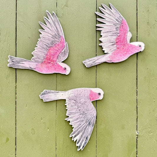 Bridget Farmer Australian Avery Wall Decorations - Galah