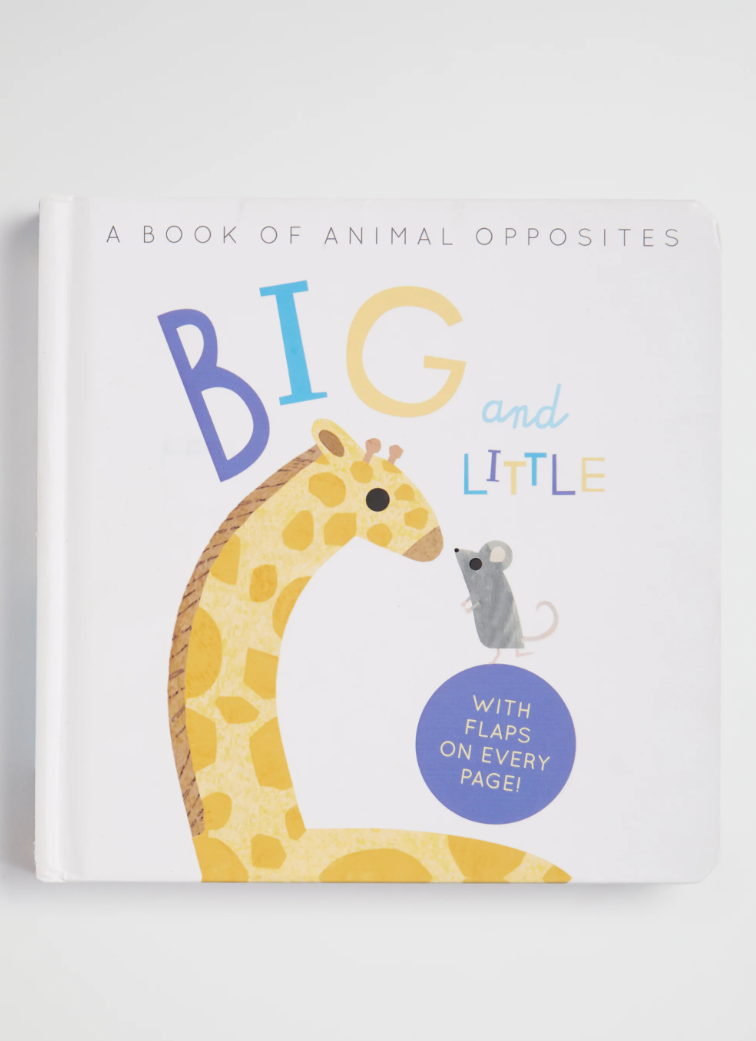 Big and Little Board Book