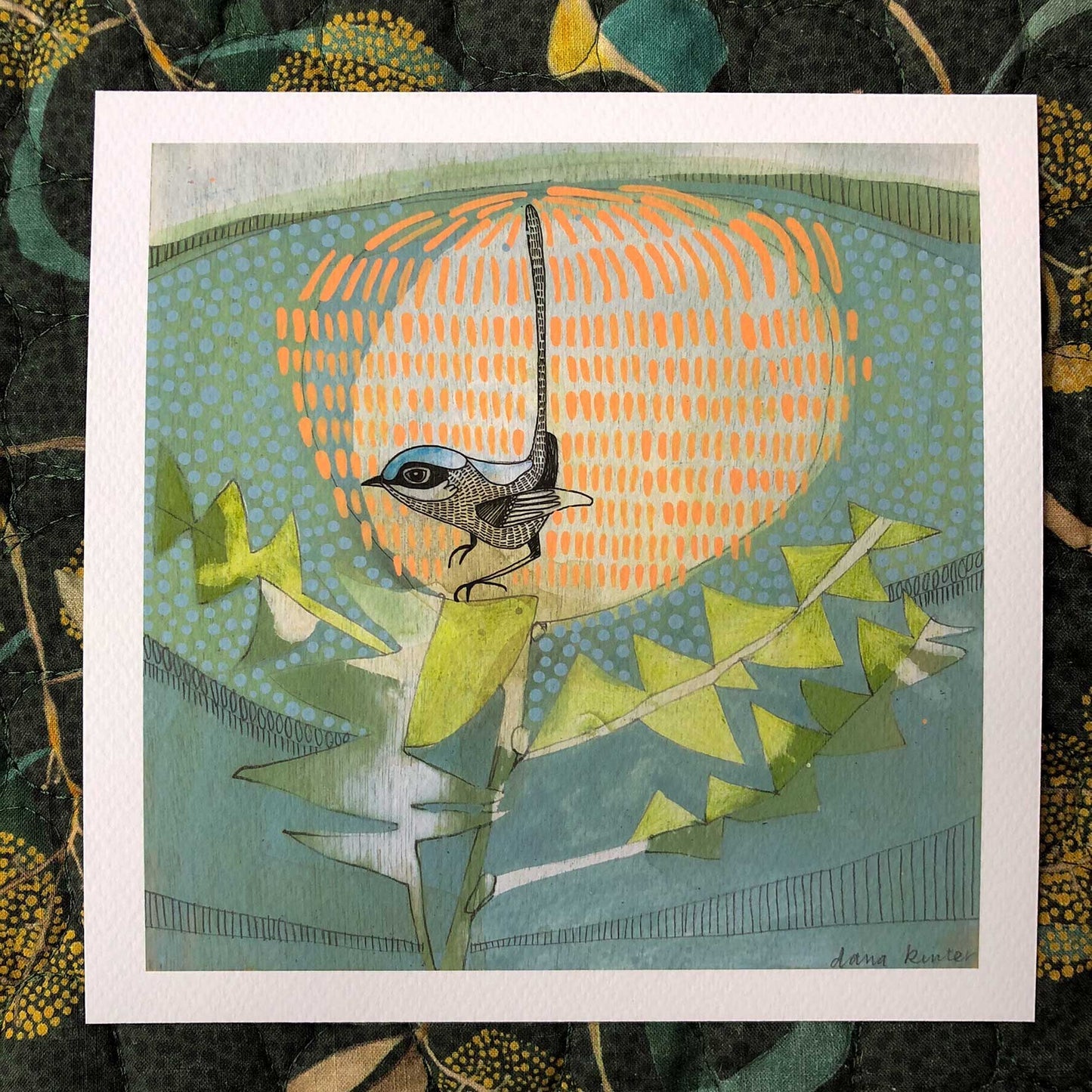 Dana Kinter "Black Backed Wren and Banksia" Mini Print