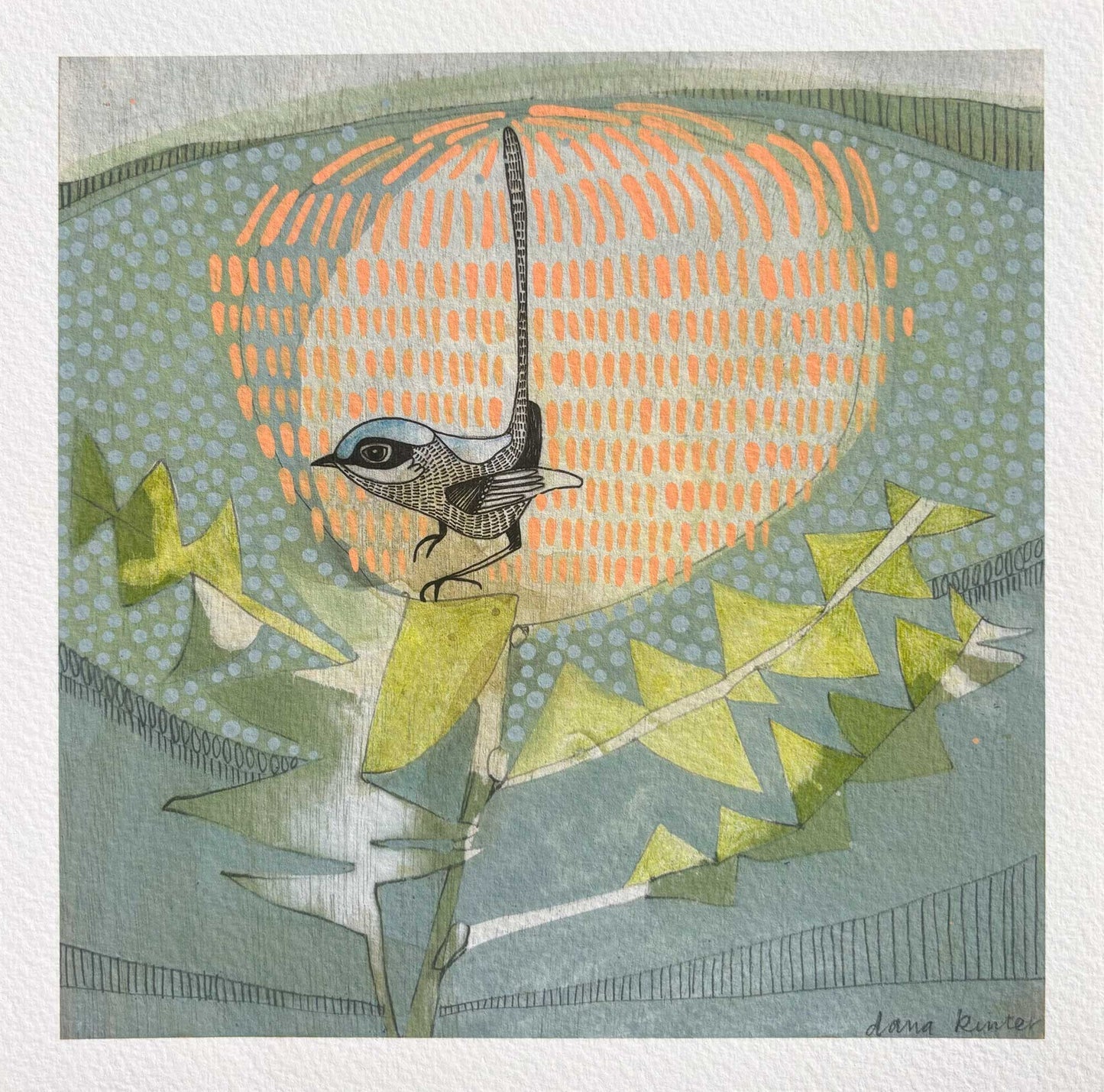 Dana Kinter "Black Backed Wren and Banksia" Mini Print