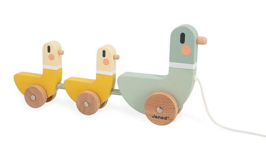 Cocoon Pull Along Ducks