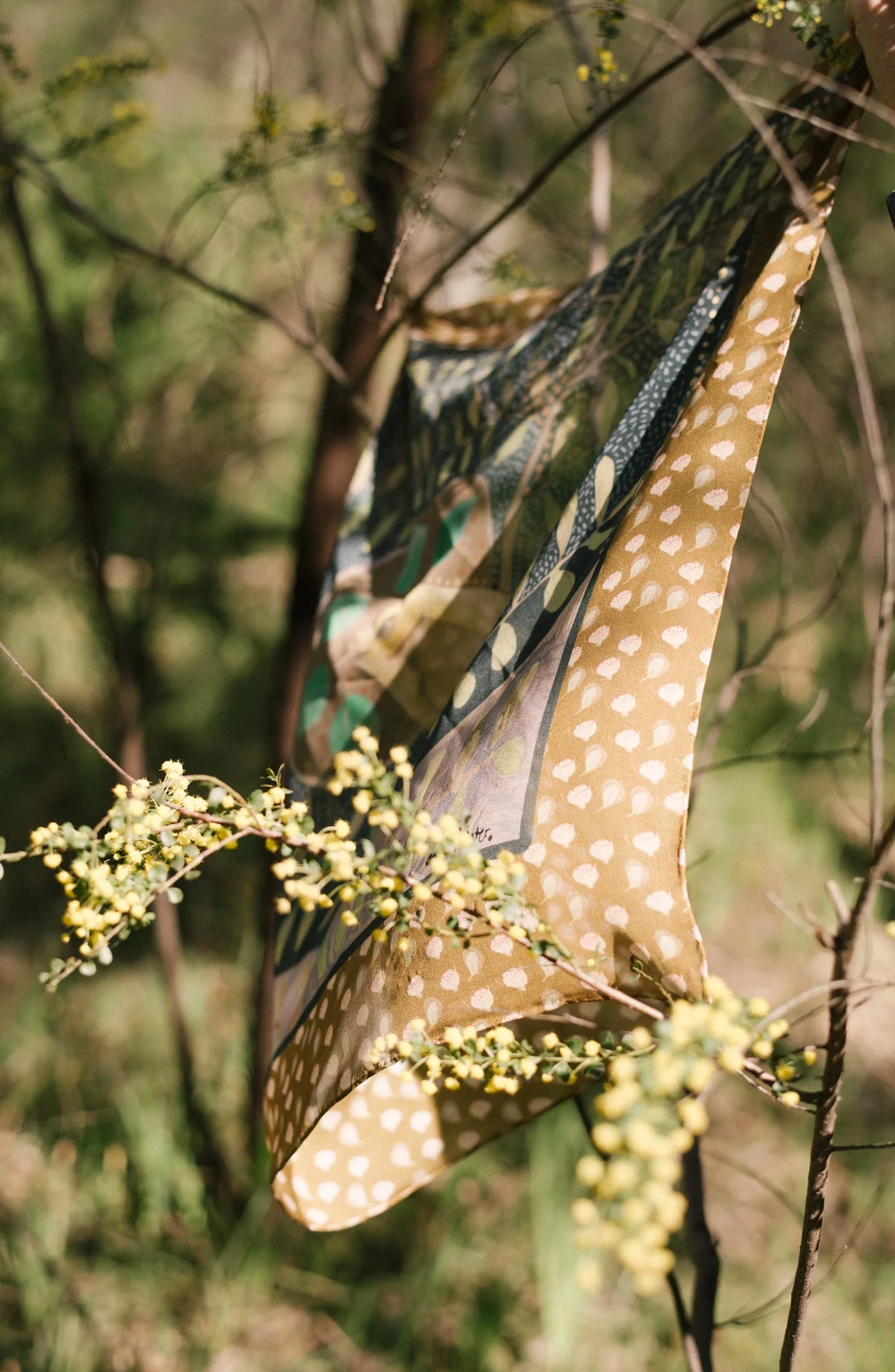 Dana Kinter "Come Away With Me" Silk Scarf