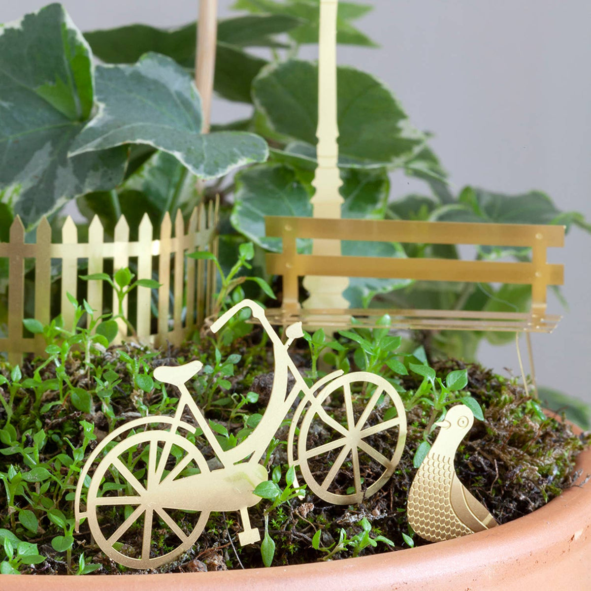Tiny Bike Adventure For Your Plants