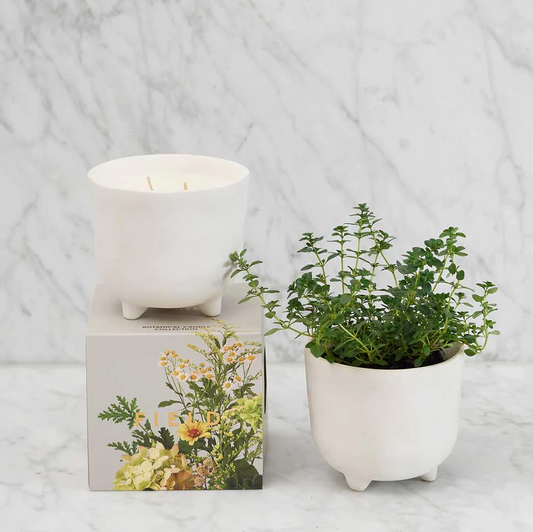 Myrtle and Moss Botanical Candle - Field