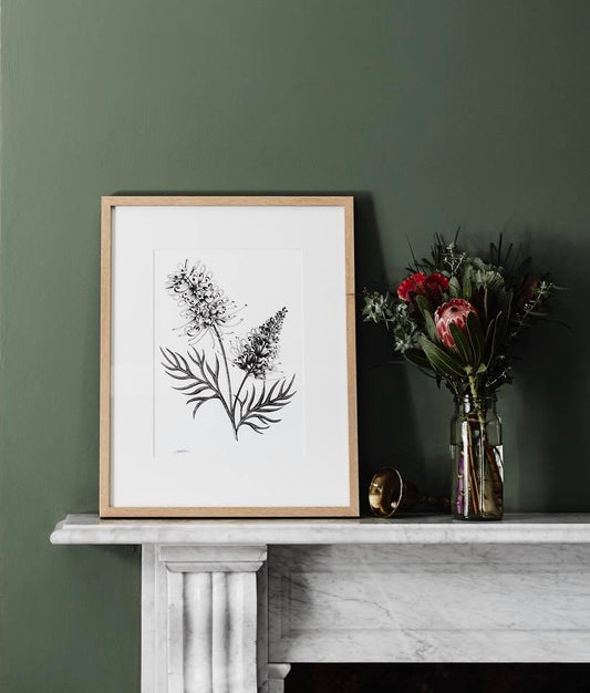 Paula Zetlein Botanical Limited Edition Art Print A3 - Grevillea