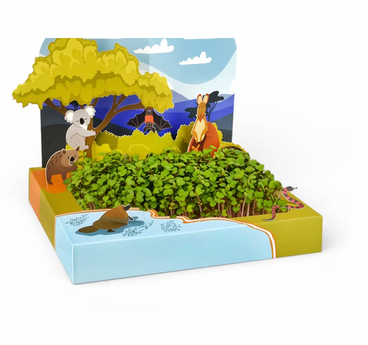 Aussie Billabong Microgreens Grow Kit