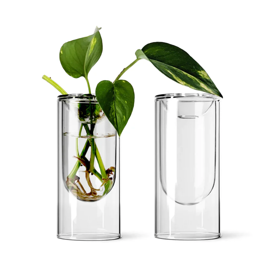 Studio Milligram Small Propagation Vase - Set of 2